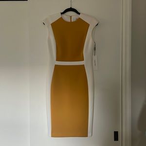 Calvin Klein dress size 4